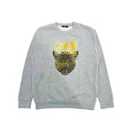 Cavalli Class Gray Polyester Women Hoodie CA-24775-XS