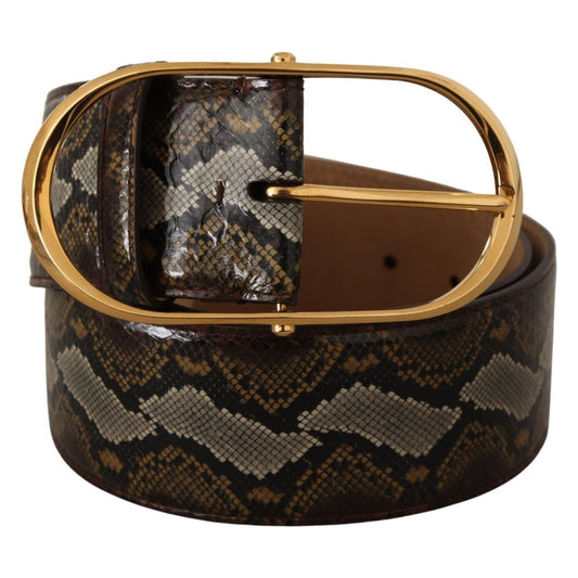 Dolce & Gabbana Brown Python Leather Gold Oval Buckle Belt BEL8360 - 80