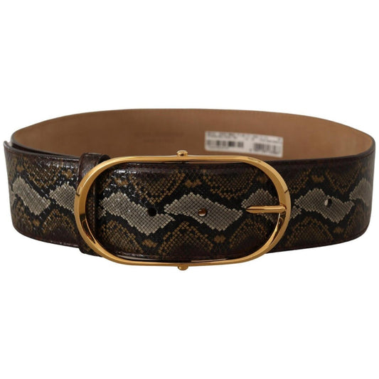 Dolce & Gabbana Brown Python Leather Gold Oval Buckle Belt BEL8360 - 80