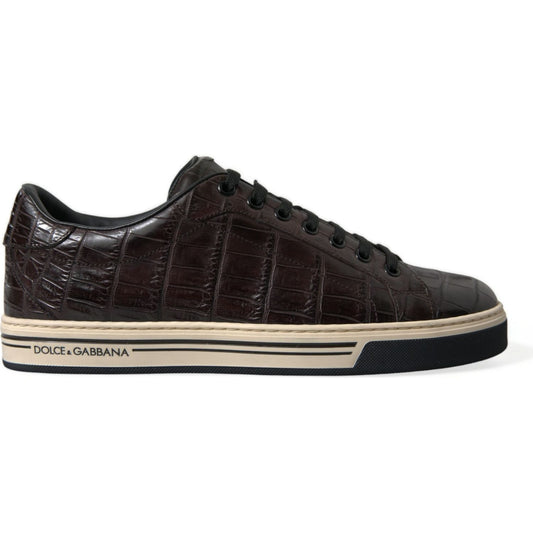 Dolce & Gabbana Brown Croc Exotic Leather Men Casual Sneakers Shoes