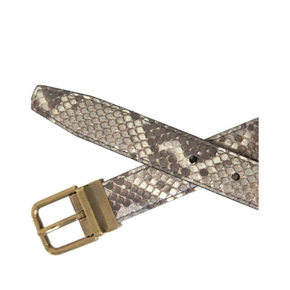Dolce & Gabbana Brown Python Leather Gold Metal Buckle Belt