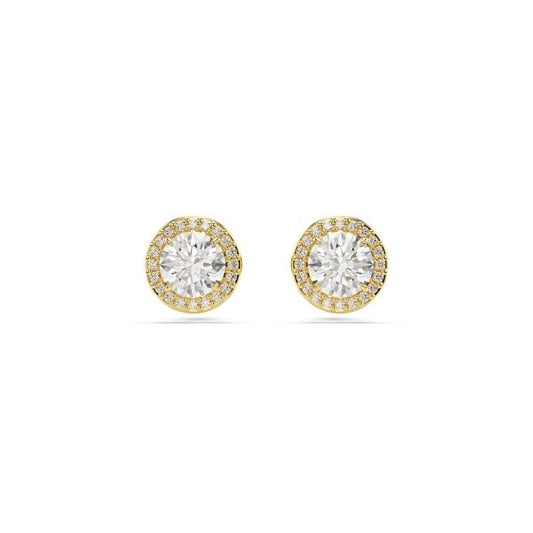 Elegant gold and crystal stud earrings showcasing the SWAROVSKI Mod. 5686637 for a sophisticated look.